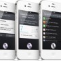 siri-300x267